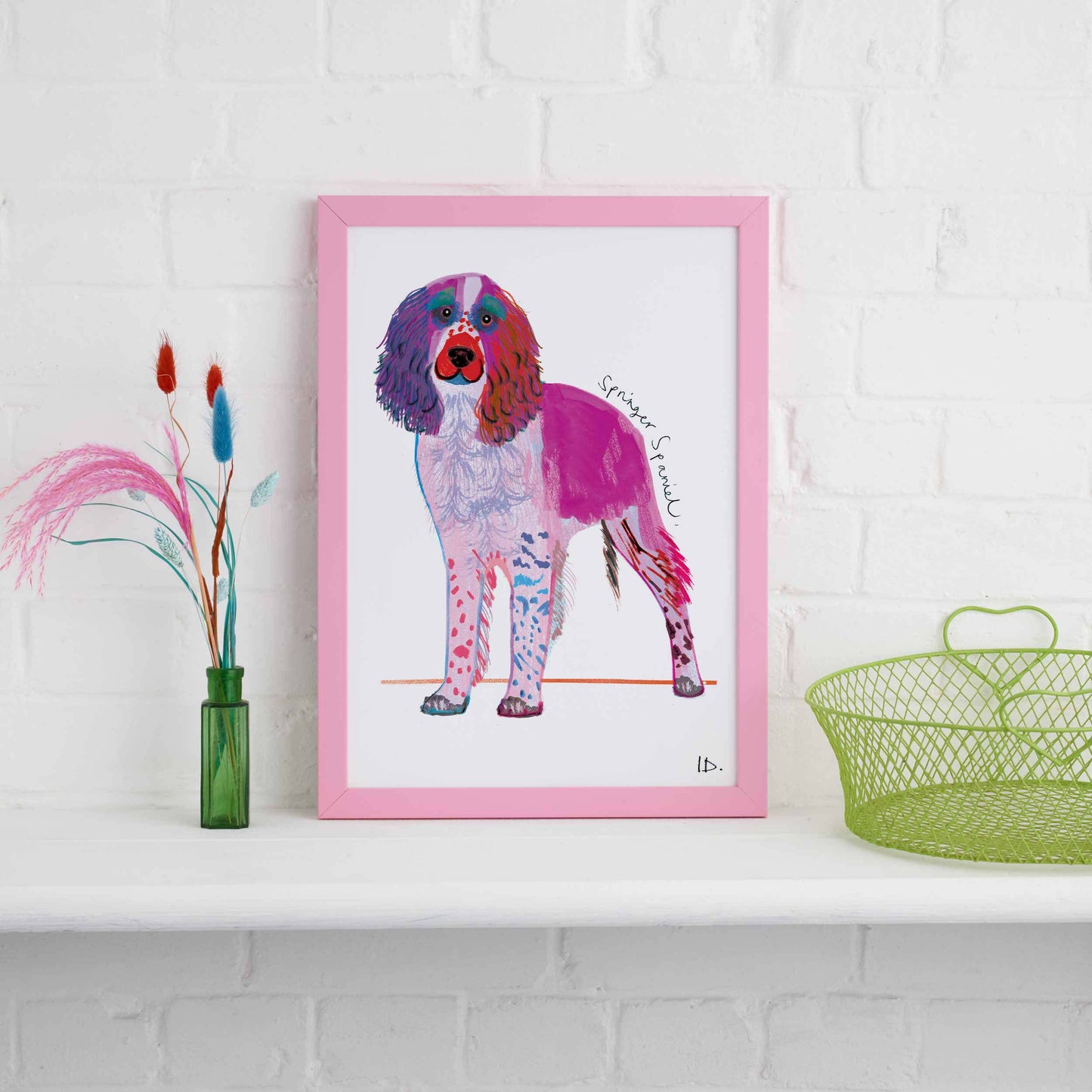 Springer Spaniel Print