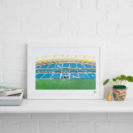 AMEX STADIUM BRIGHTON PRINT