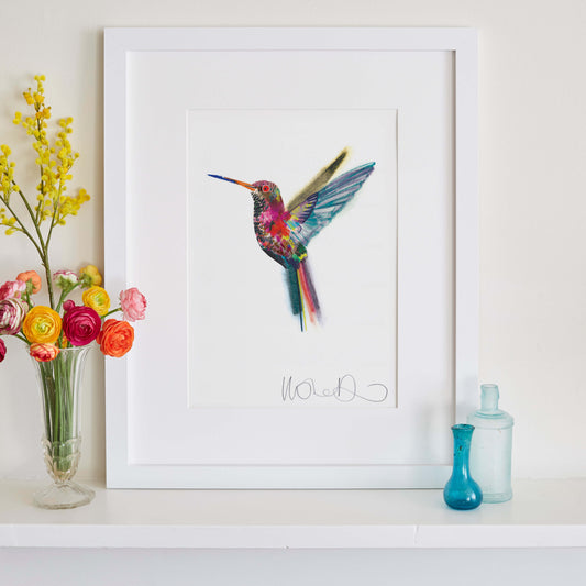 HUMMING BIRD PRINT