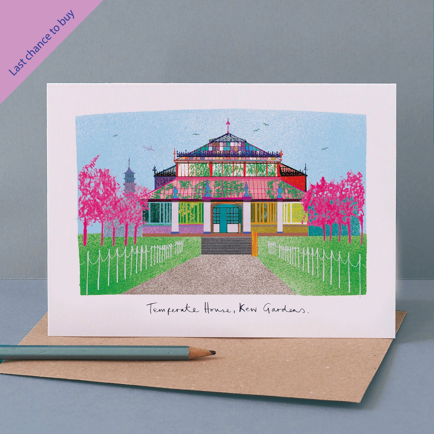 TEMPERATE HOUSE KEW GARDENS CARD