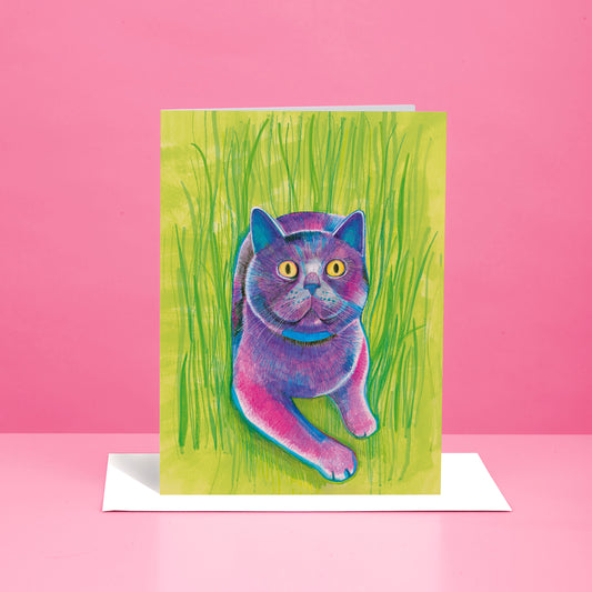 Blue Cat Greeting Card