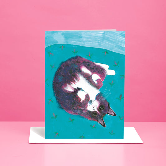 Turquoise Cat greetings card