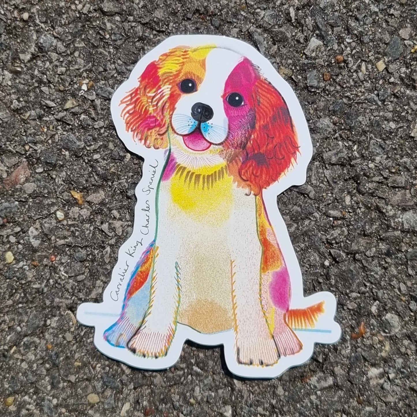 Cavaliar King Charles Spaniel Dog Sticker, I DREW DOGS, Dog Stickers, Dog Gifts